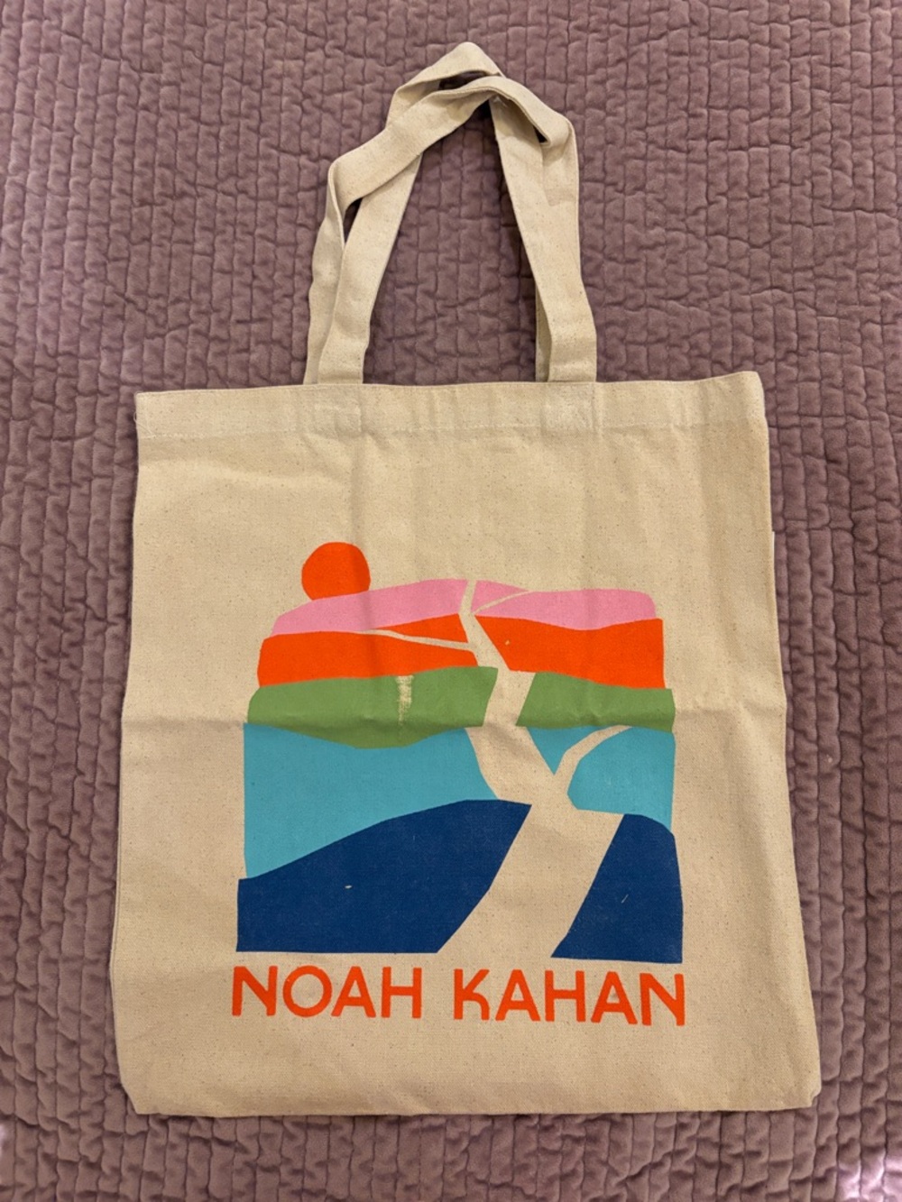 Noah Kahan Concert Tote Bag